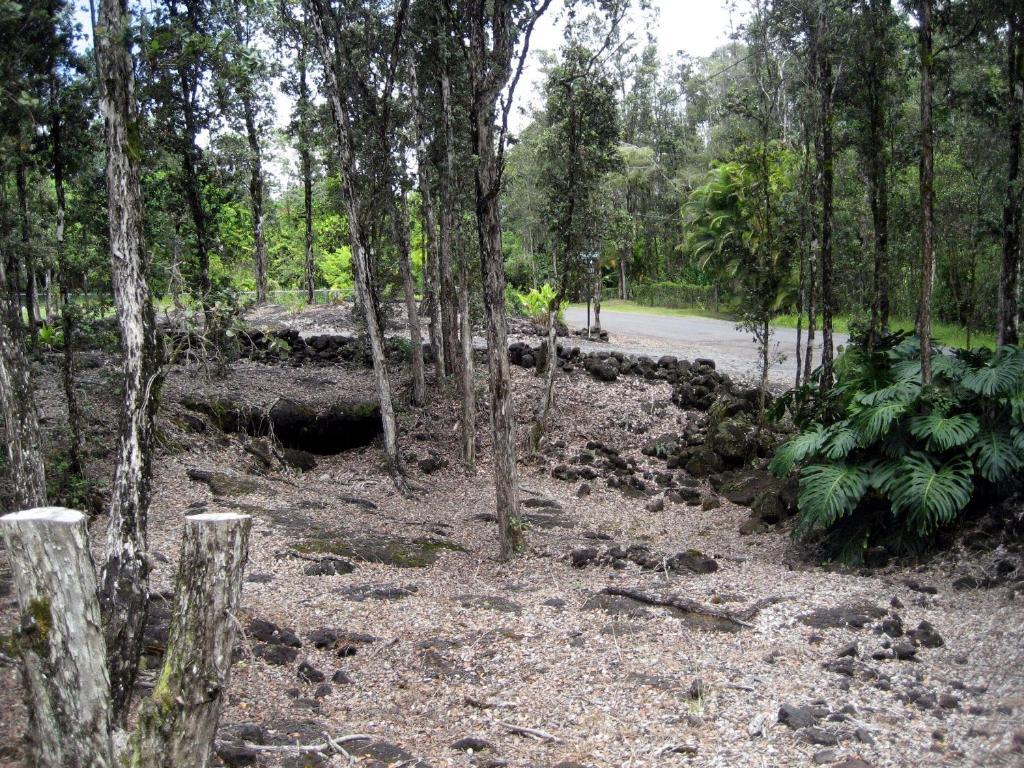Keaau Place Dış mekan fotoğraf